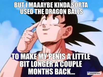 KAKAROT YOU IDIOT!!11!