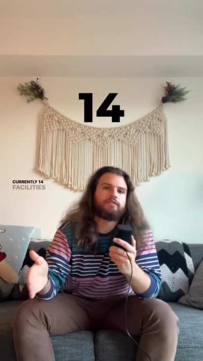 A few fast-hitting fun facts about Orcas! Like, did you know orcas are classified as both a dolphin and a whale?