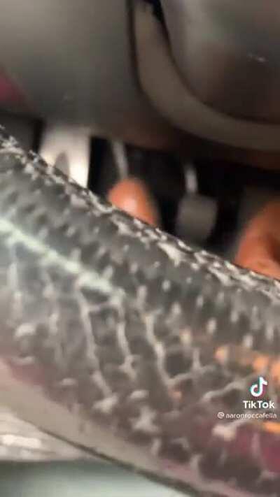 This man should be ashamed