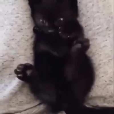 Cat realizes he has more than one paw