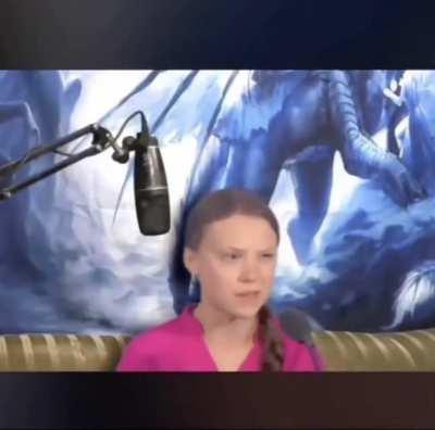 reiner das kansd du doch nich machern