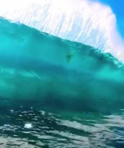Such a pretty wave… OH SHI-