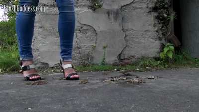 Sveta crush crawdad outdoor - Bug Crushed