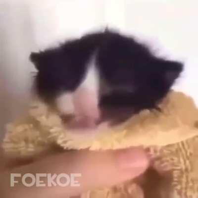 Haha, bomb omb head goes brr