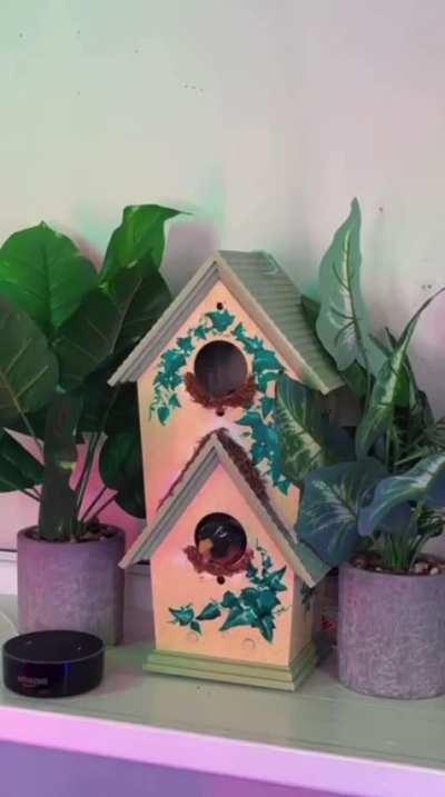 old and new technology