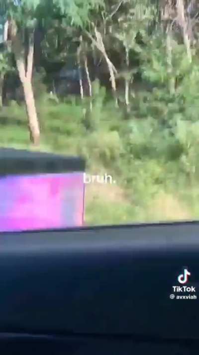 Shitty wrap for a shitty car