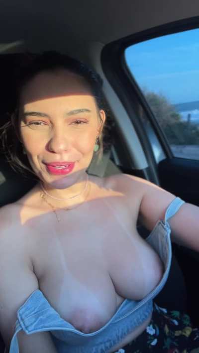 they always run away when i'm driving