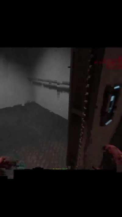 me and and a guard playing whack a mole