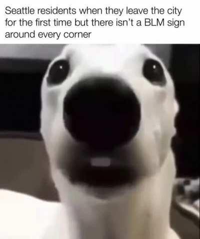 Shiver me timbers 🥶