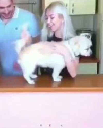 Мандаринка