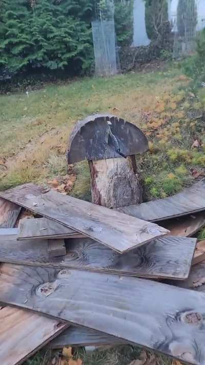 By far the best hatchet for throwing...