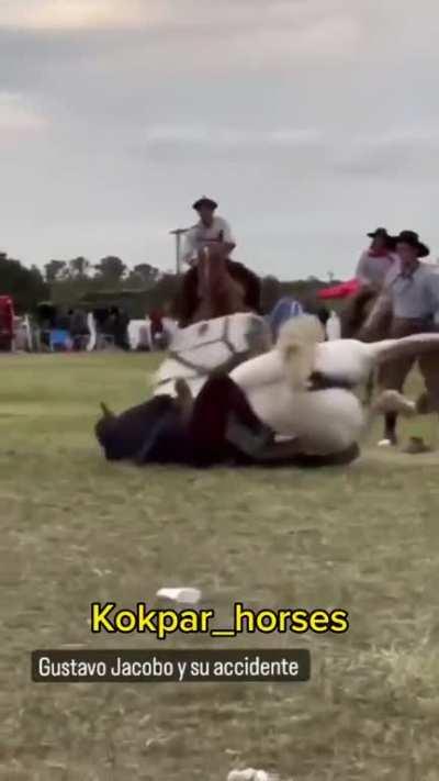 Horse does his special move; The Gaucho Nutcracker