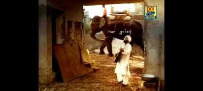 Subah - shaam ek ek goli