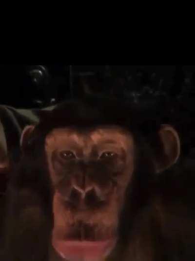Monke