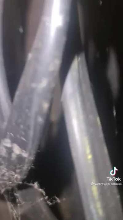 Olha que russo filha da puta