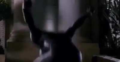 Chump😈😈😈😈😈😈😡😏