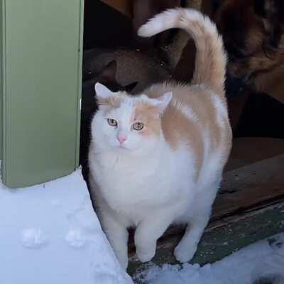 It’s a S’Nope for Me