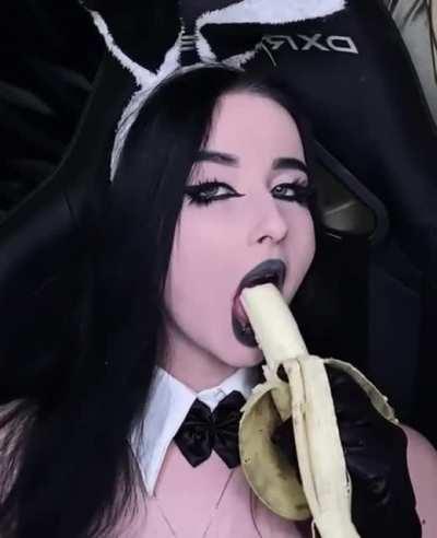 Even bunnies need their 5 a day