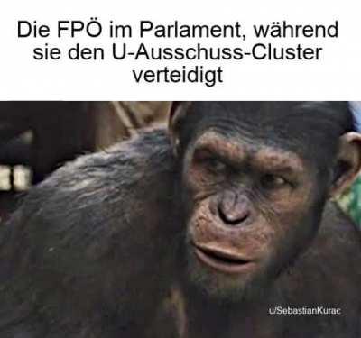 AMK - Austria Meme Katalog