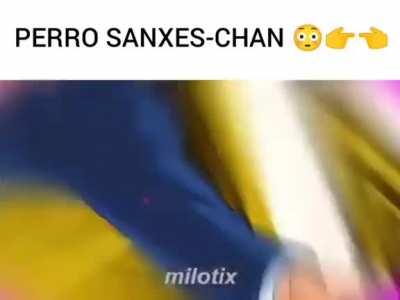 PERRO SANXES-CHAN 😳👉👈