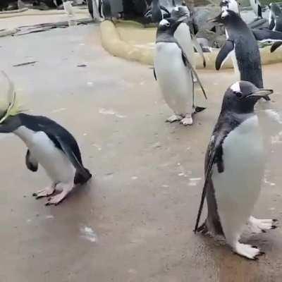 See, this is why we don't ask you to go out anymore, Gary 🔊🆙