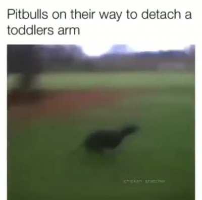 sorry just here to post memes