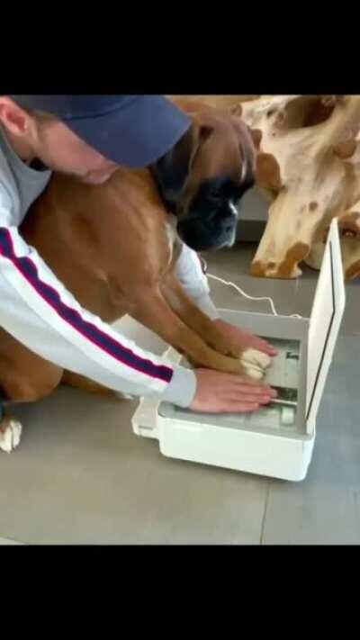 Wait till the end. :)