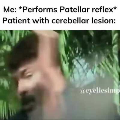 [MEME] So meta, even this meme is exaggerated