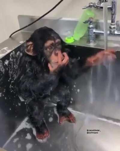 BruceDropEmOff - Video #6488