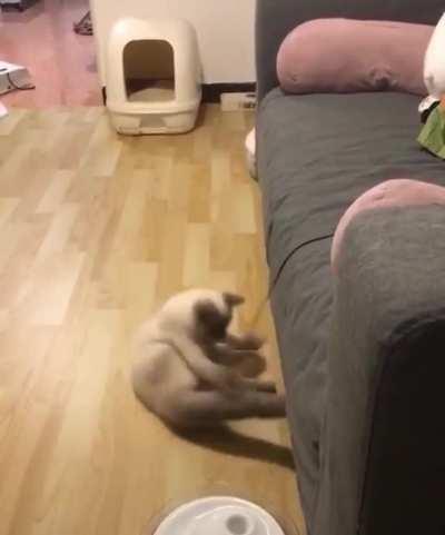 GET IT OFF!!! GET IT OFF!!!