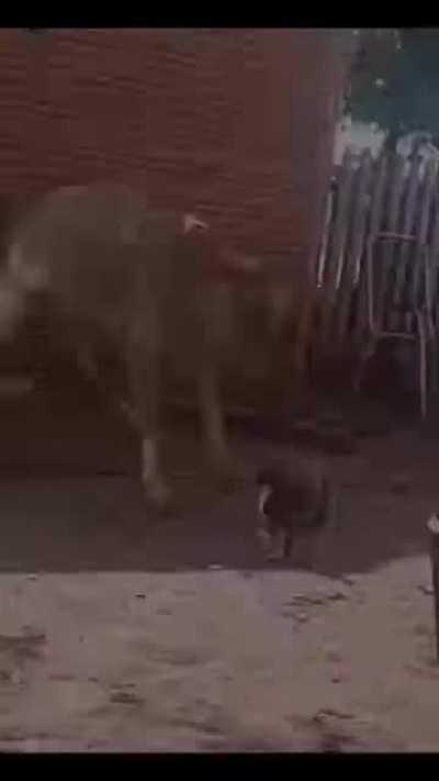 Одной левой