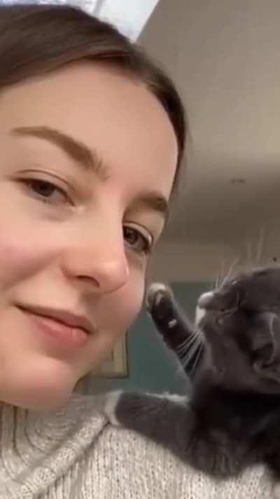 Kitten petting owner; owner not reciprocating