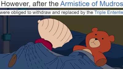 Greatest Hero in the History of Turkey 💪🏿🇹🇷