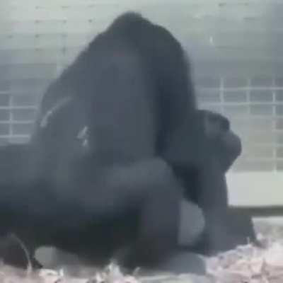 Triste mt TRIIIIISTE😢😢😢