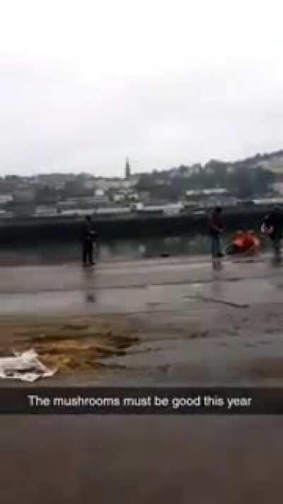 A lot of questions right here