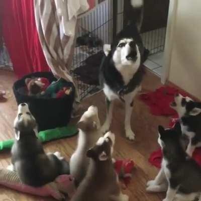 Let me catch the beat, then sing in unison XDDD