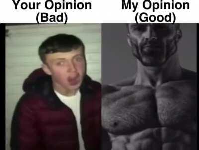 Doesn't elaborate further, just calls you a lib like a Chad!1!1!1!😲