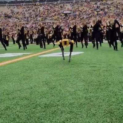 Who the hell left the door open?