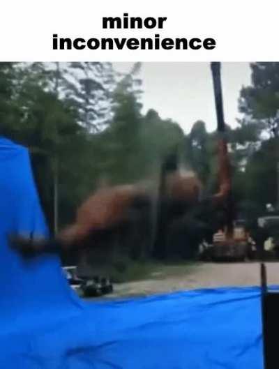 Shitposting daily to spite that other guy that shitposts daily #1