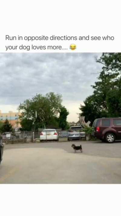 I wish dog's were able to talk🥺❤️