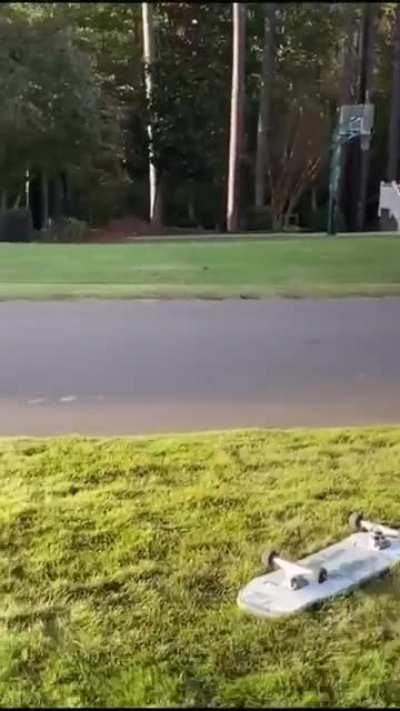 Reproductive surgery successful