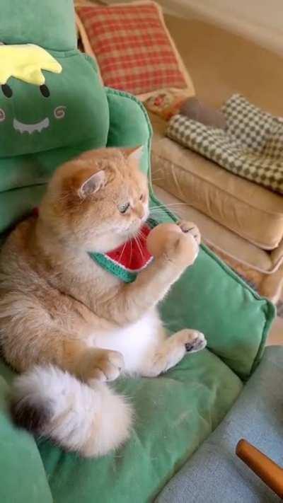 Breakfast of champions