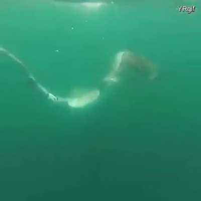 Safety so far away...