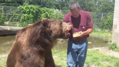 well mannered heathens partaking in confectionery