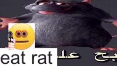 eat rat