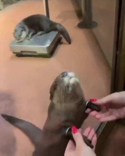 When it hits the SPOT