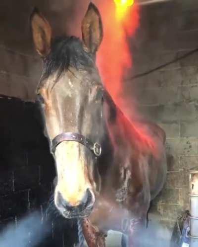 We've finally found him!