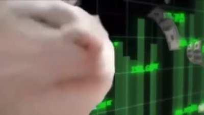 Me seeing AMC rocket today