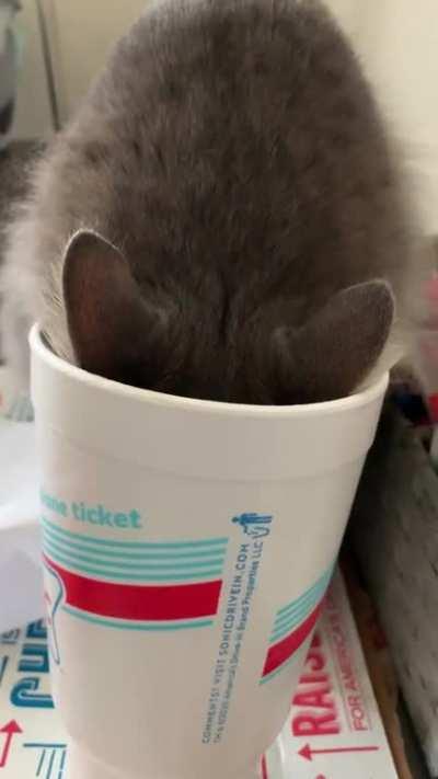 When you’re busy stealing a drink.