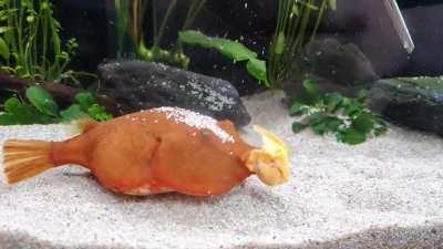 Serve me breakfast on bed please.